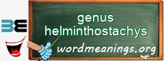 WordMeaning blackboard for genus helminthostachys